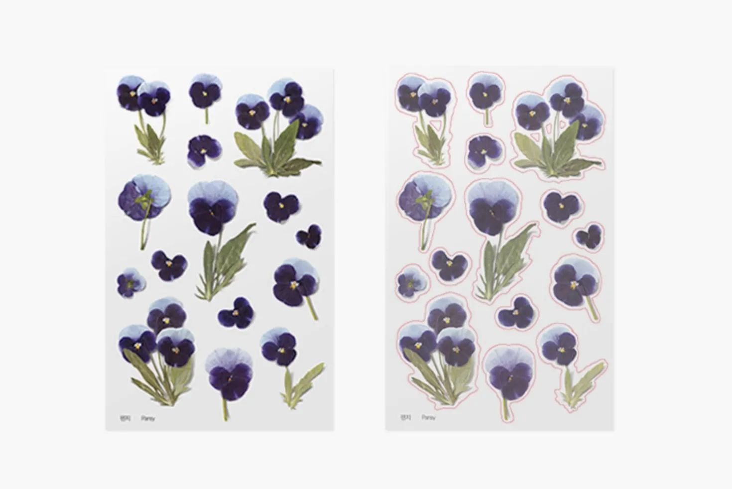 Pansy Pressed Flower Sticker