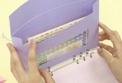 Pastel 6 Ring A5 Window Envelope