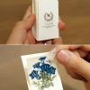 48pcs Flower Label Sticker Set