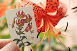 48pcs Flower Label Sticker Set