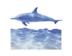2pcs Large Translucent Bookmark Set