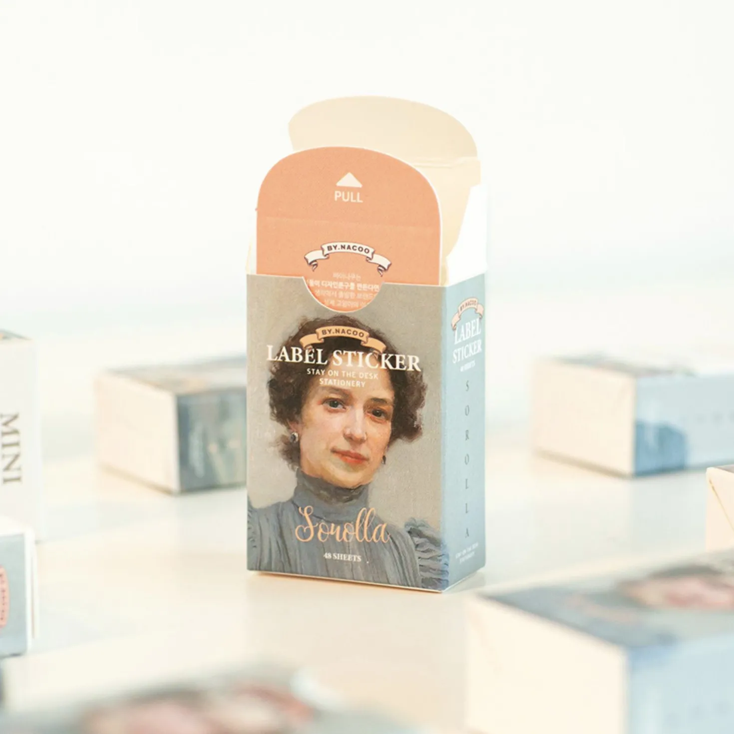 48pcs Sorolla Label Sticker Set
