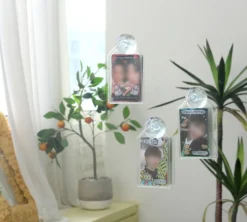 3pcs Window Attachable Instax Mini Photo 1 Pocket