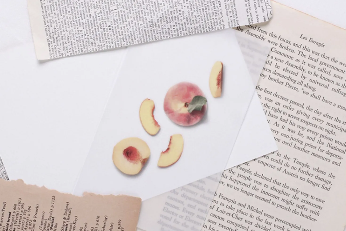 Peach Pressed Fruit Sticker