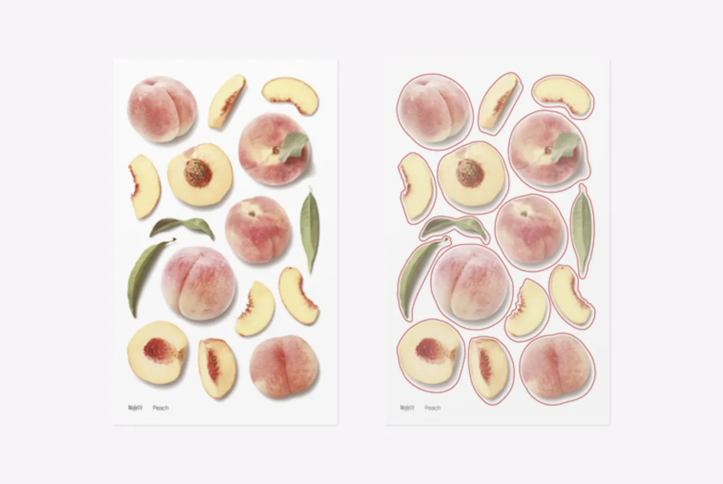 Peach Pressed Fruit Sticker