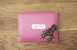 3 Piece Document Envelopes