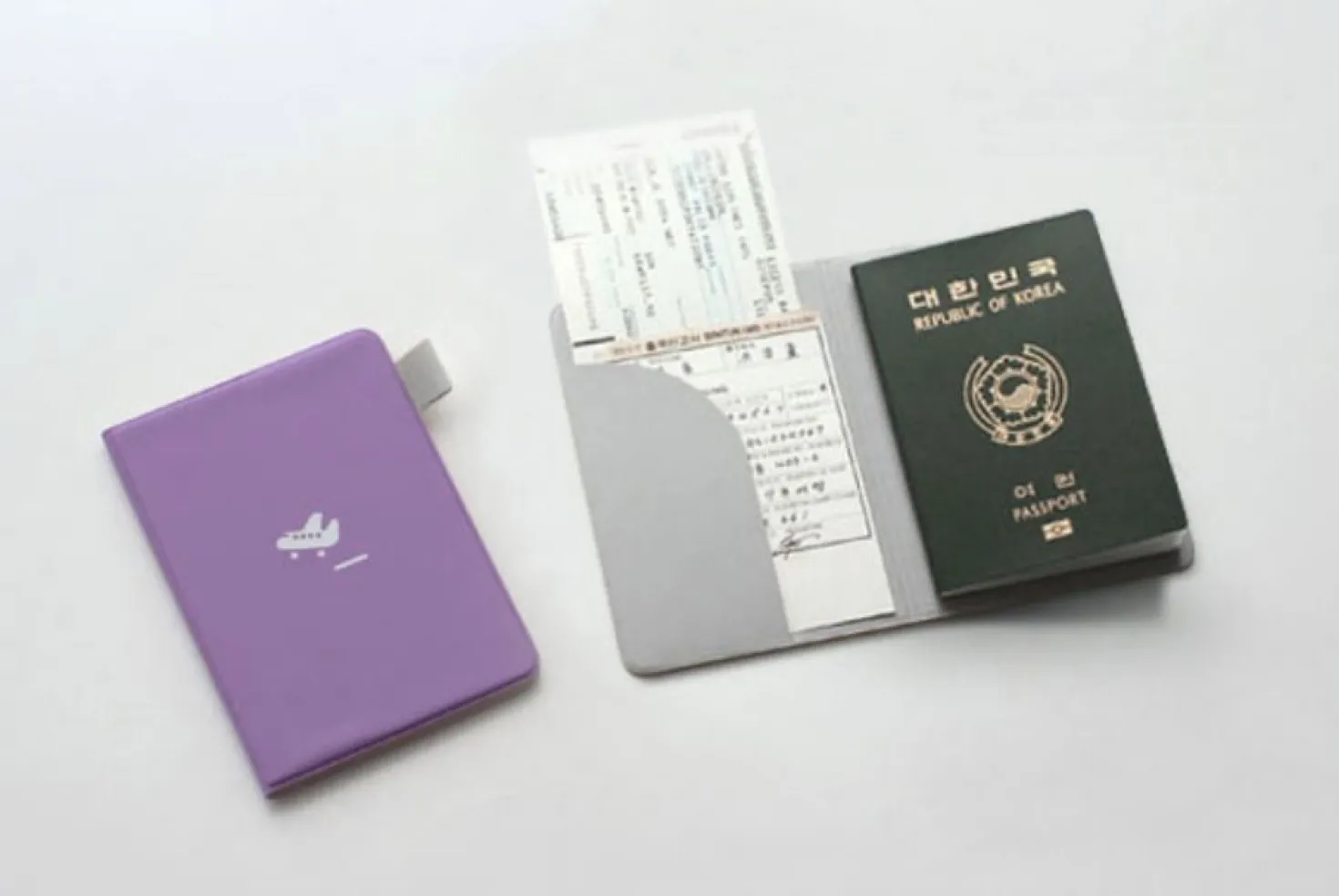 Plane Passport Case