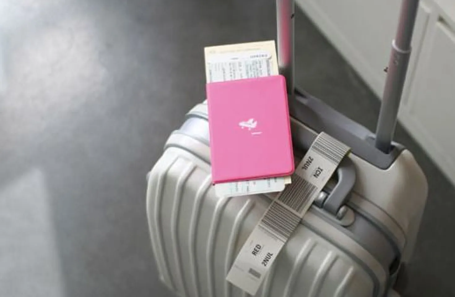 Plane Passport Case