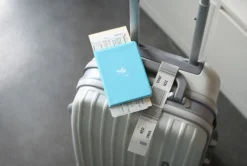 Plane Passport Case