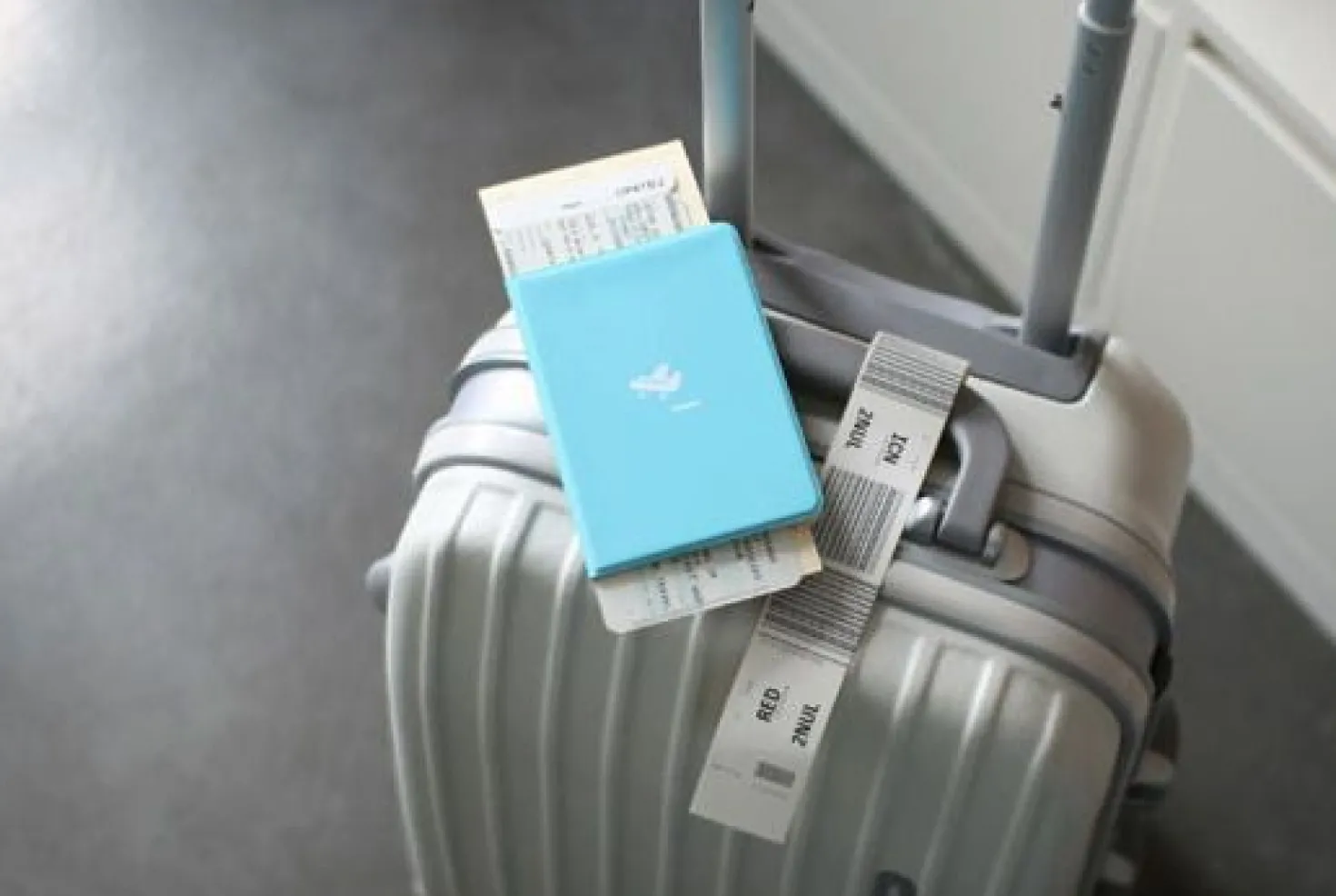 Plane Passport Case