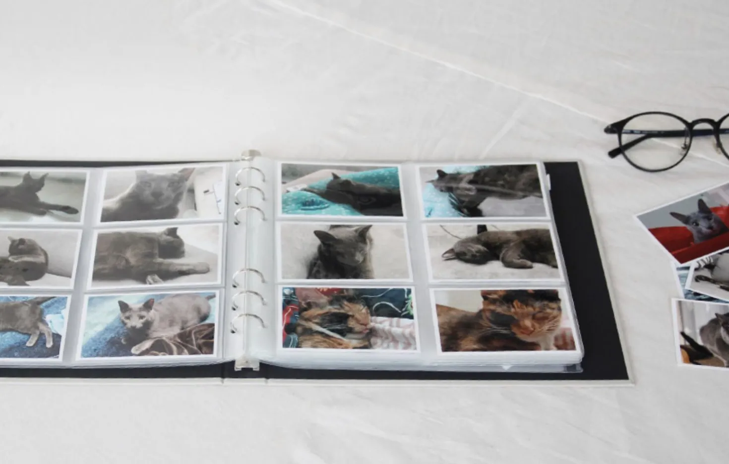 Precious Moments Instax Mini Binder Album Refill