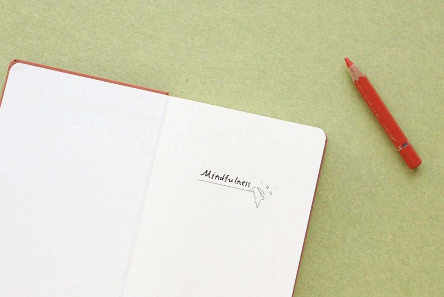Rabbit Classic Handy Plain Notebook