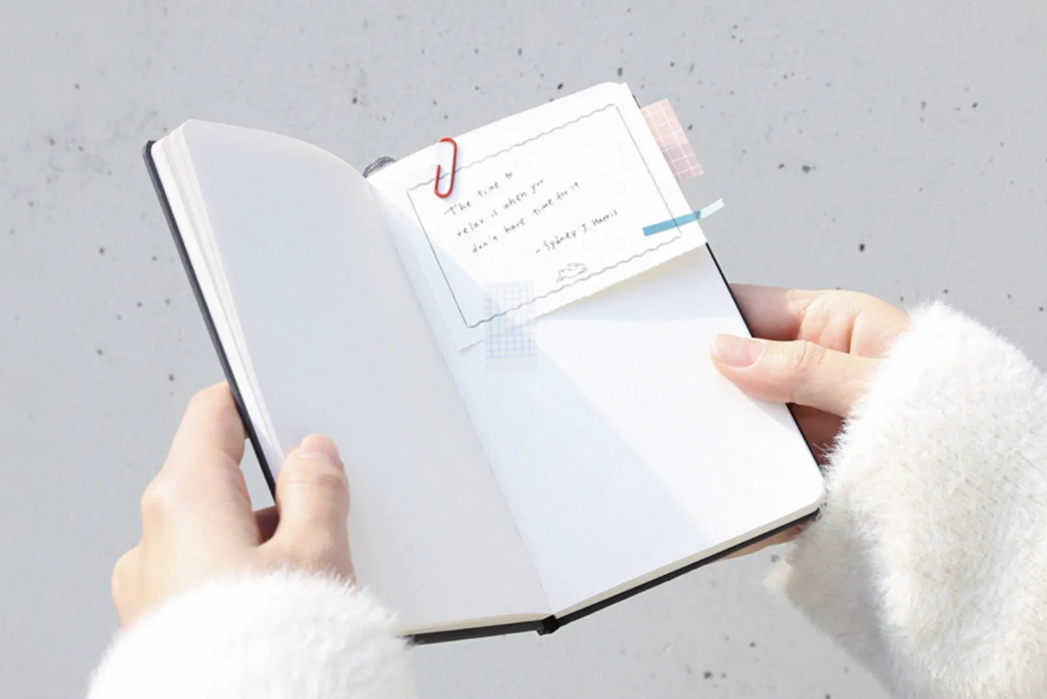 Rabbit Classic Handy Plain Notebook