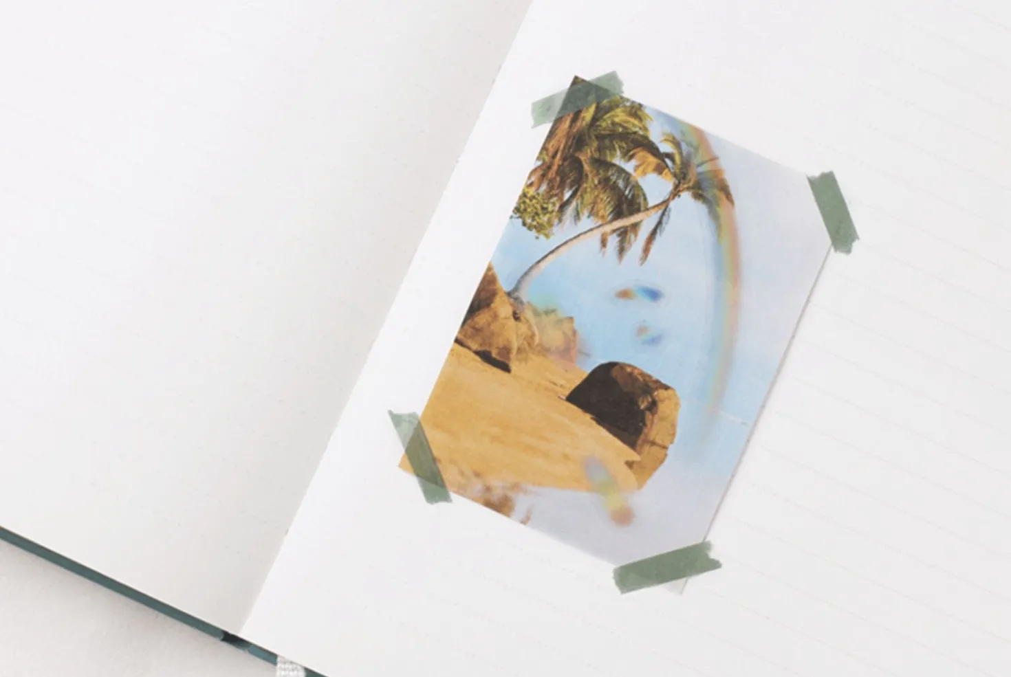 Rainbow Nature Sticker