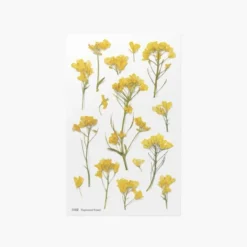 Rapeseed Pressed Flower Sticker