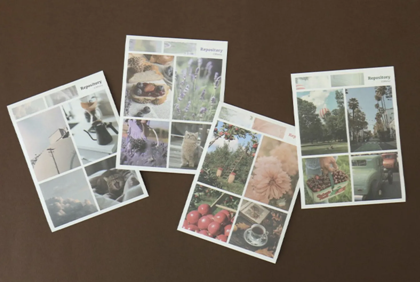 Repository Wide Photo Album