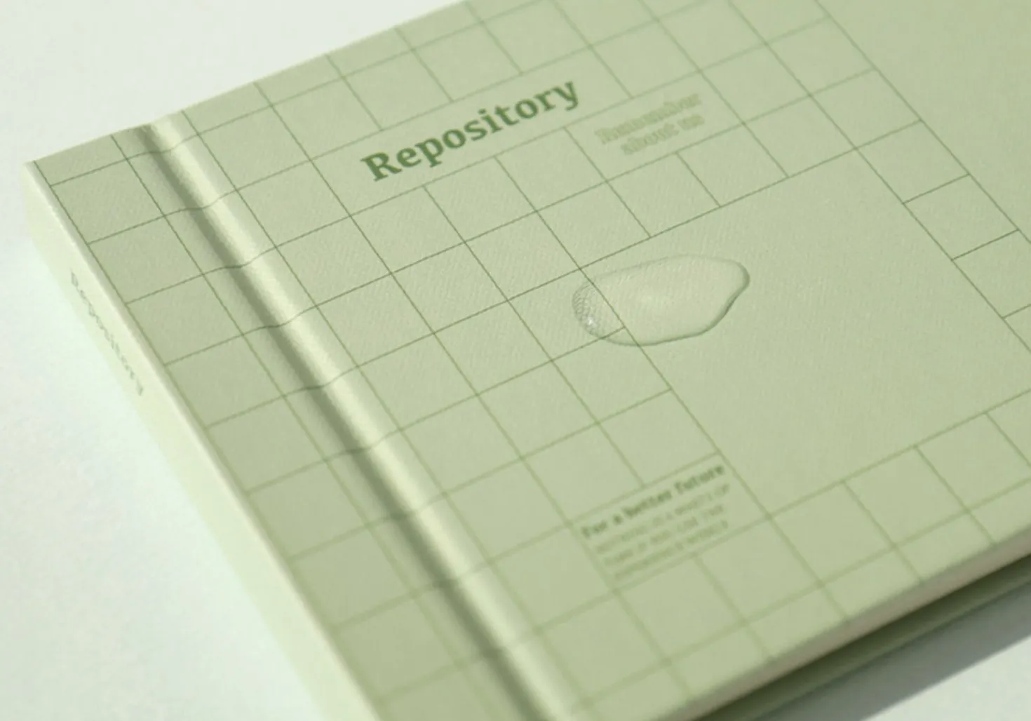 Repository Wide Photo Album