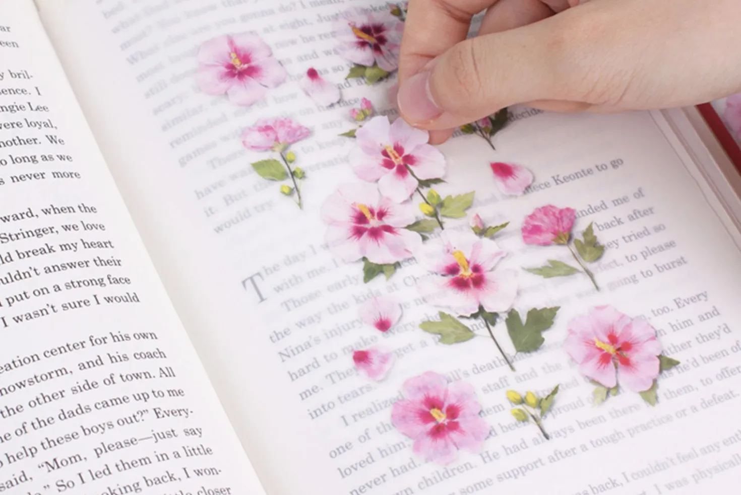 Rose of Sharon Pressed Flower Sticker