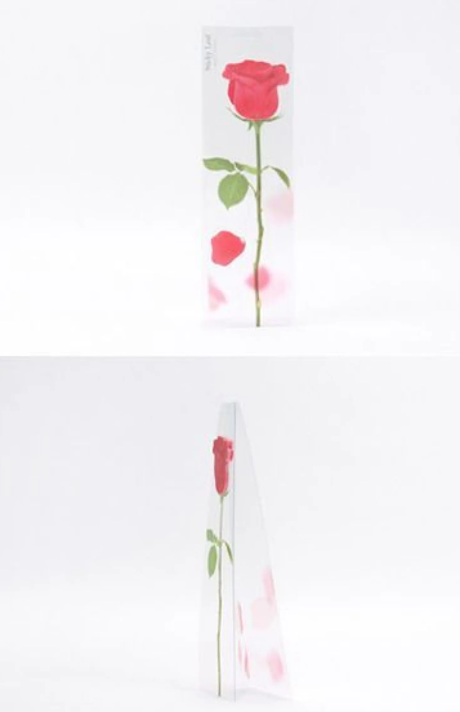 Rose Sticky Note