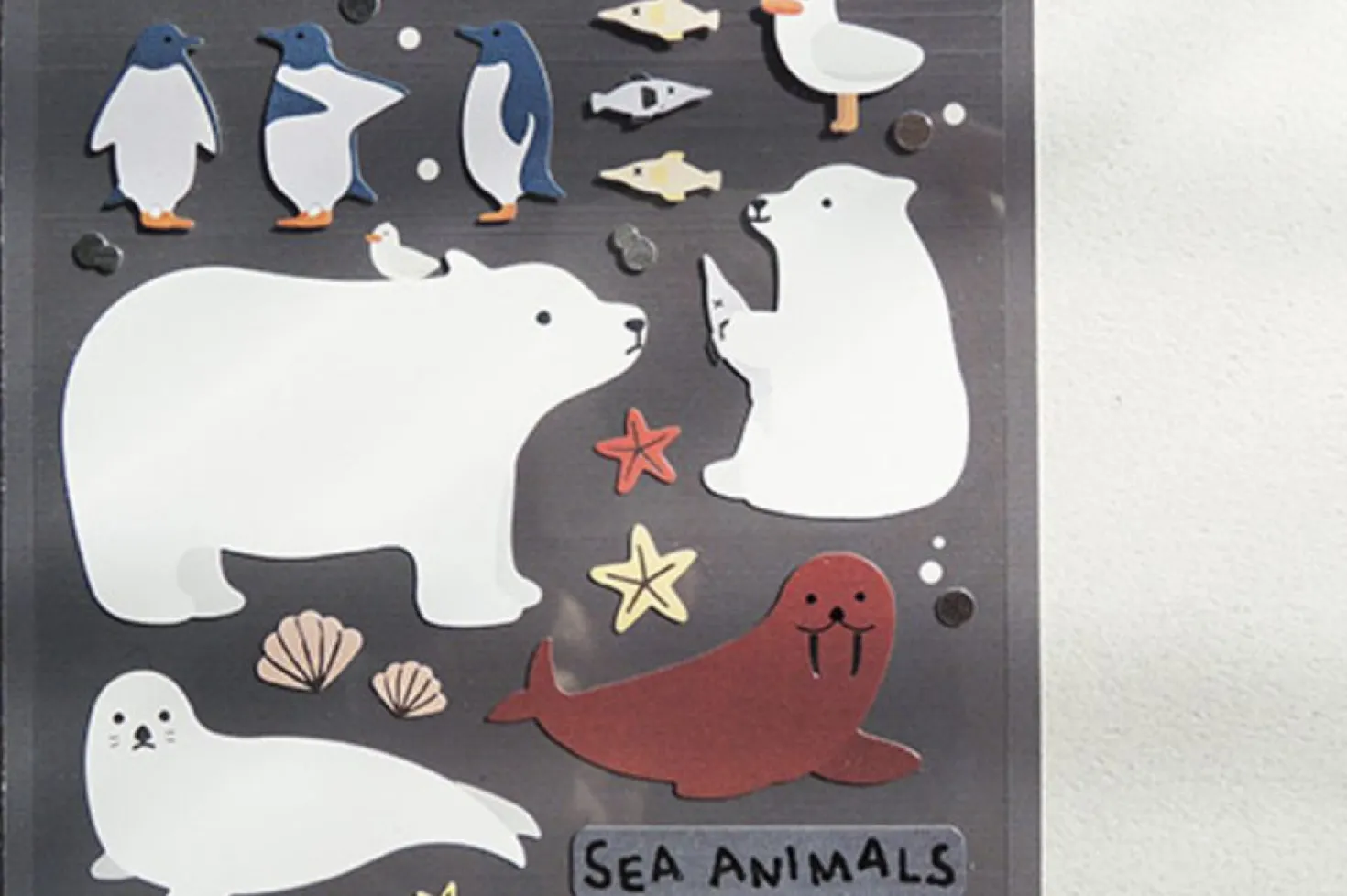 Sea Animal Deco Sticker