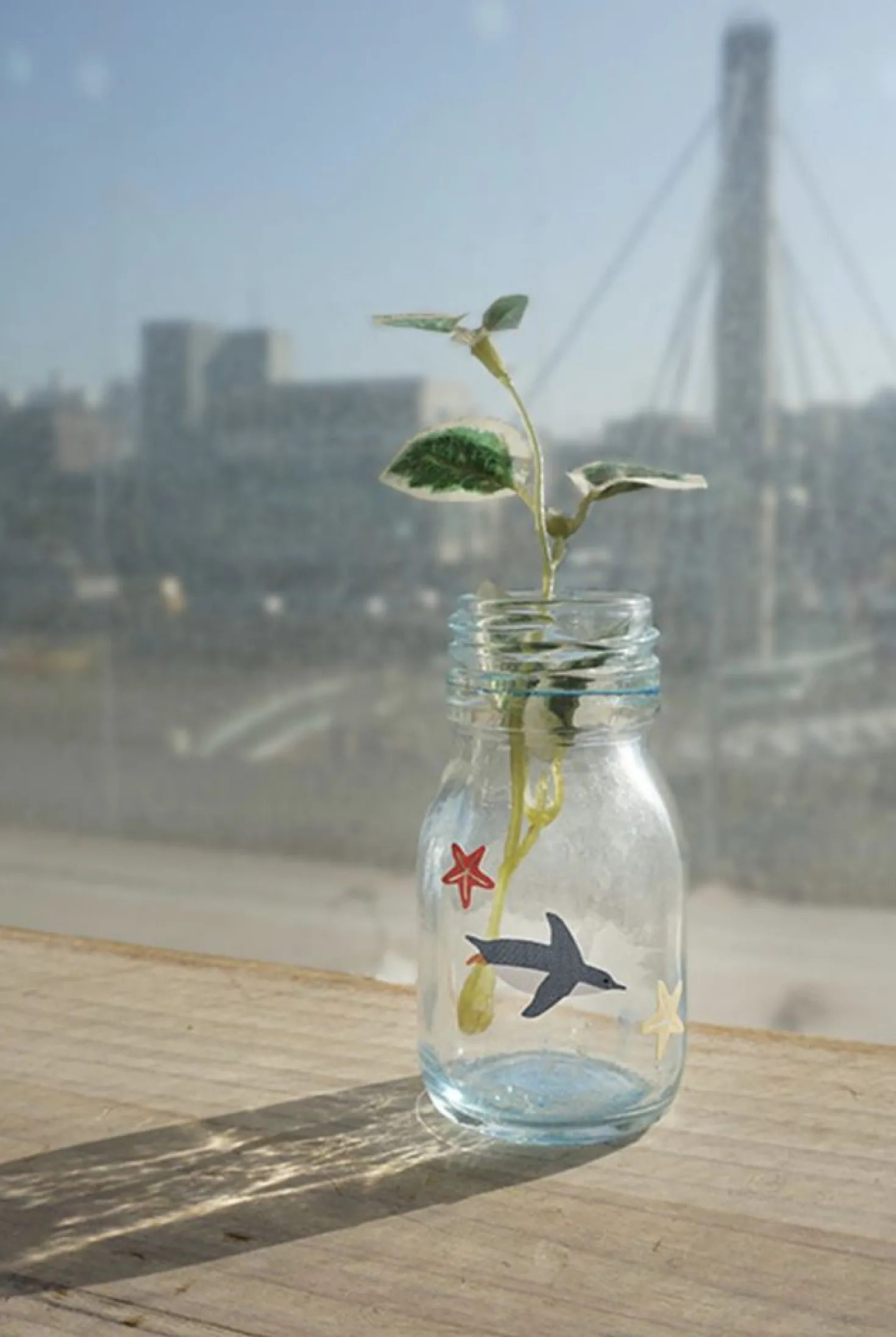 Sea Animal Deco Sticker