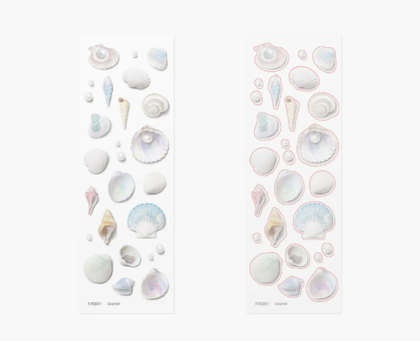 Seashell Nature Sticker