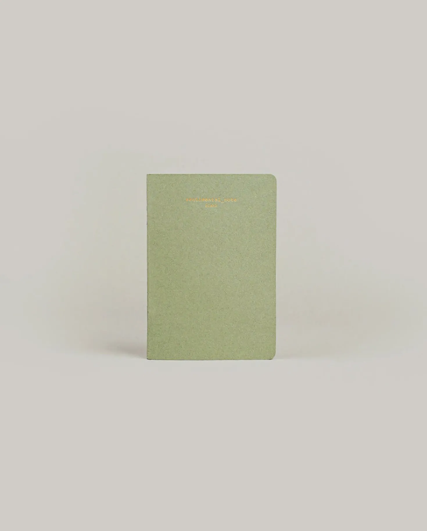 Sentimental Mini Plain Notebook