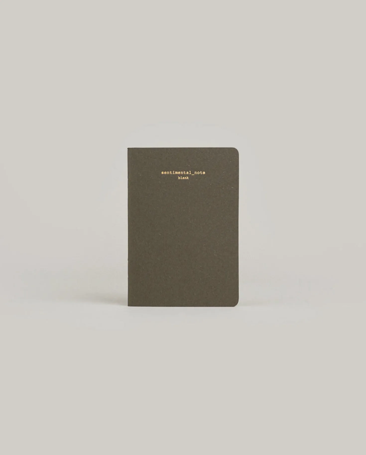Sentimental Mini Plain Notebook