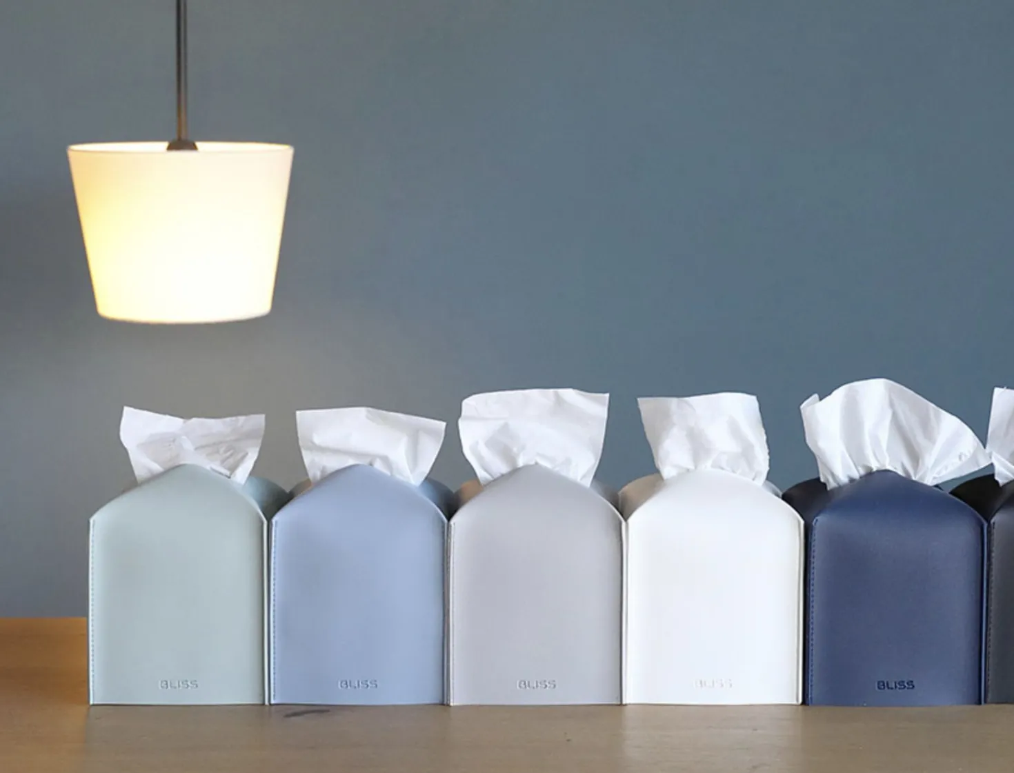Small Basic Tissue Cover