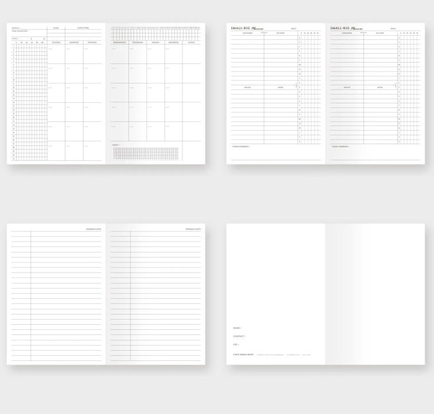 Small-Big Growth Planner