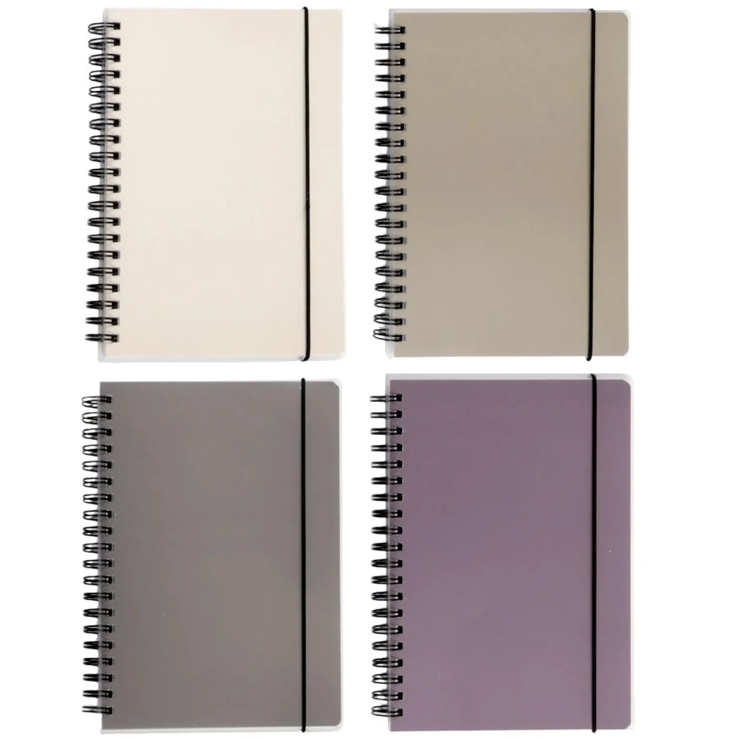 Small Bium Spiral Lined Band Notebook
