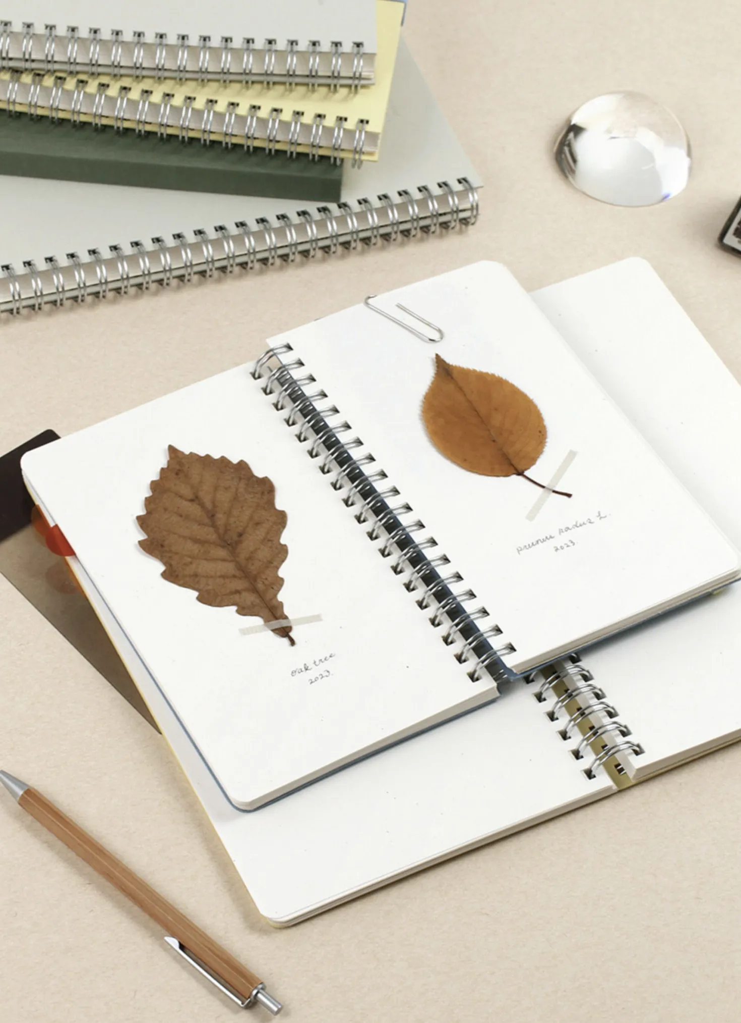 Small Eco Friendly Flat Plain Notebook