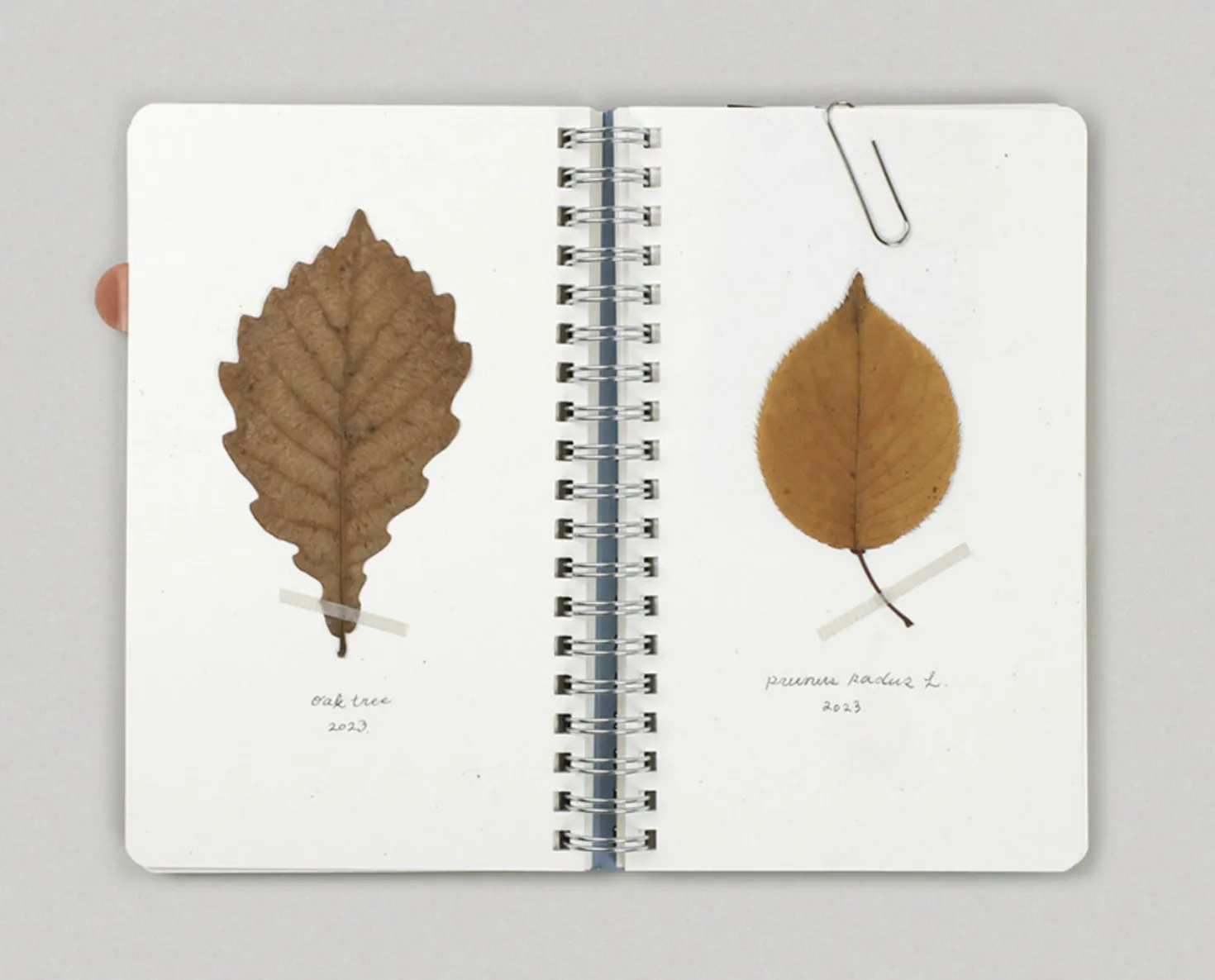 Small Eco Friendly Flat Plain Notebook