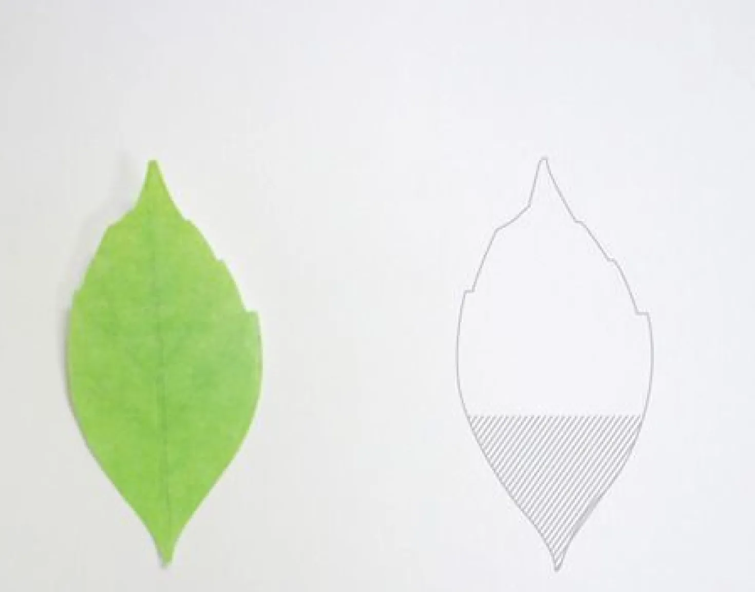 Small Leaf Sticky Note