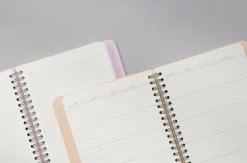 Small 6 Month Daily Manager Planner