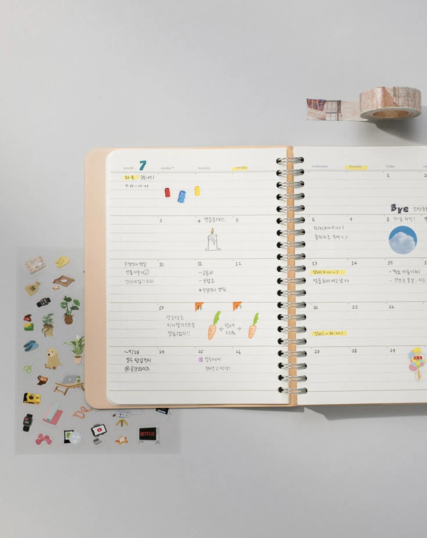 Small 6 Month Daily Manager Planner