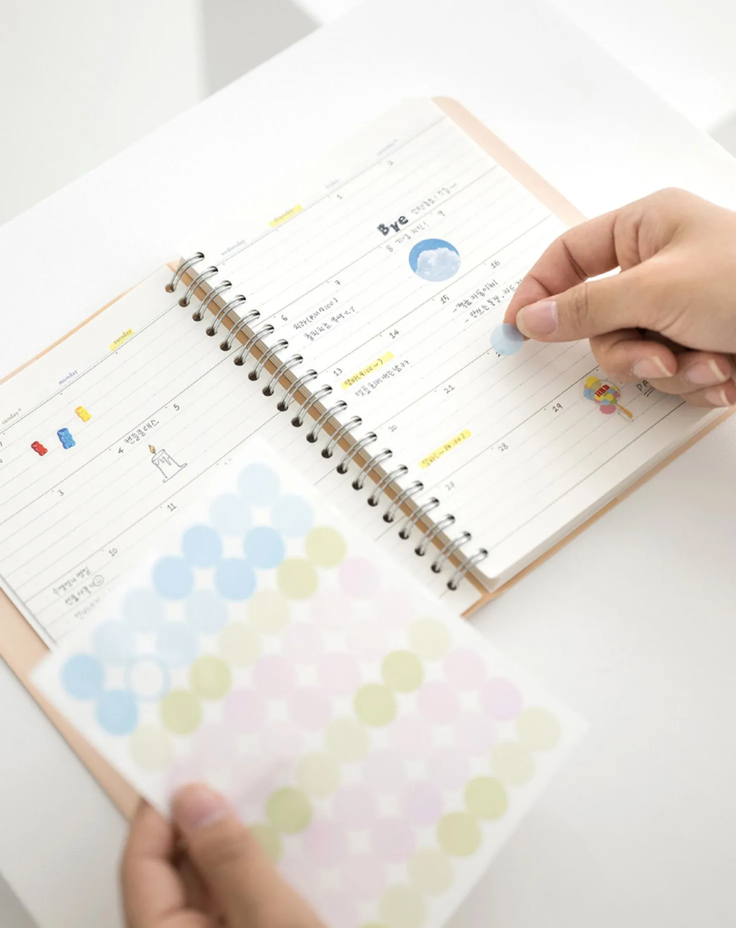 Small 6 Month Daily Manager Planner