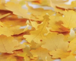 Small Oak Leaf Sticky Note