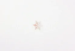 Snowflake Nature Sticker