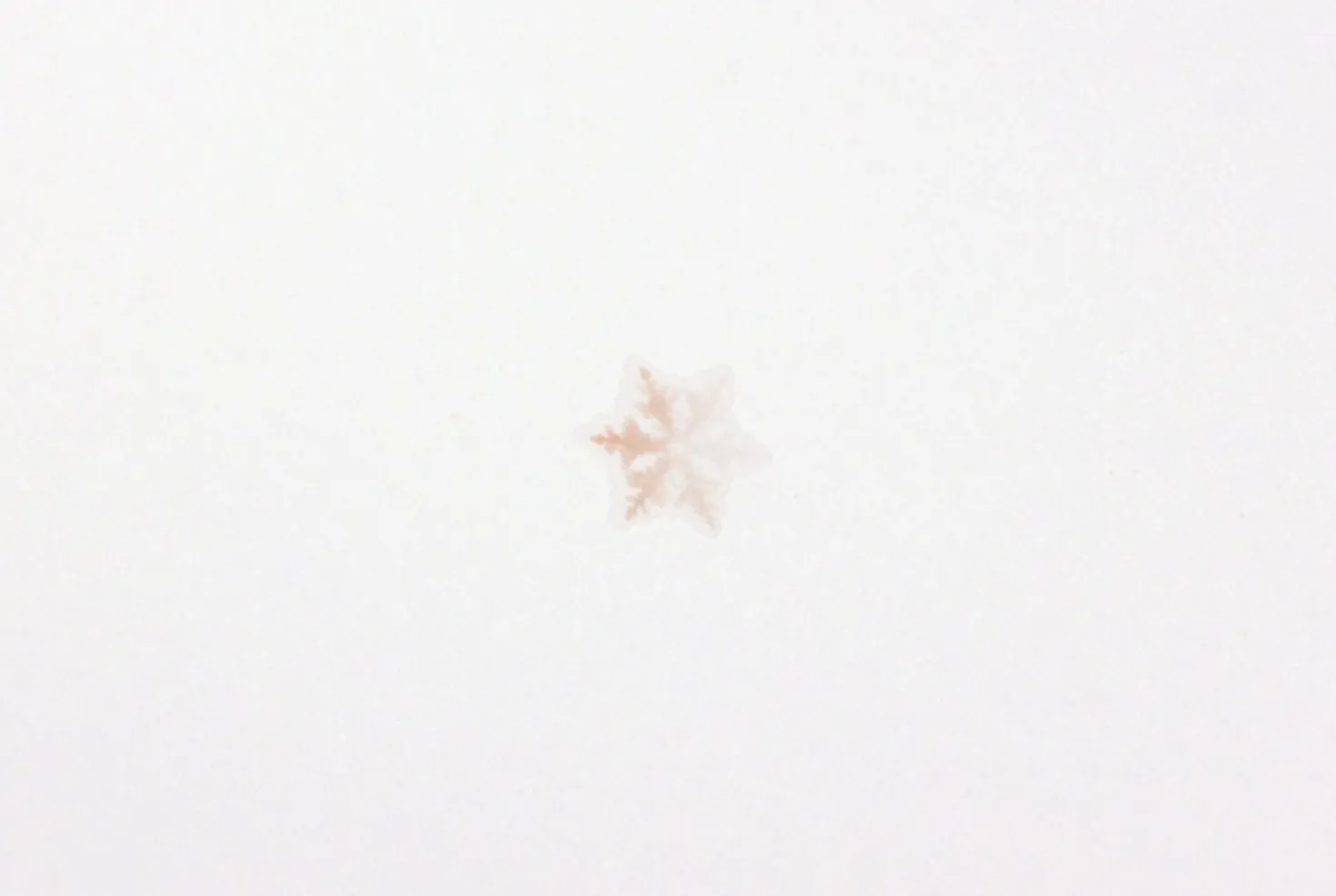 Snowflake Nature Sticker