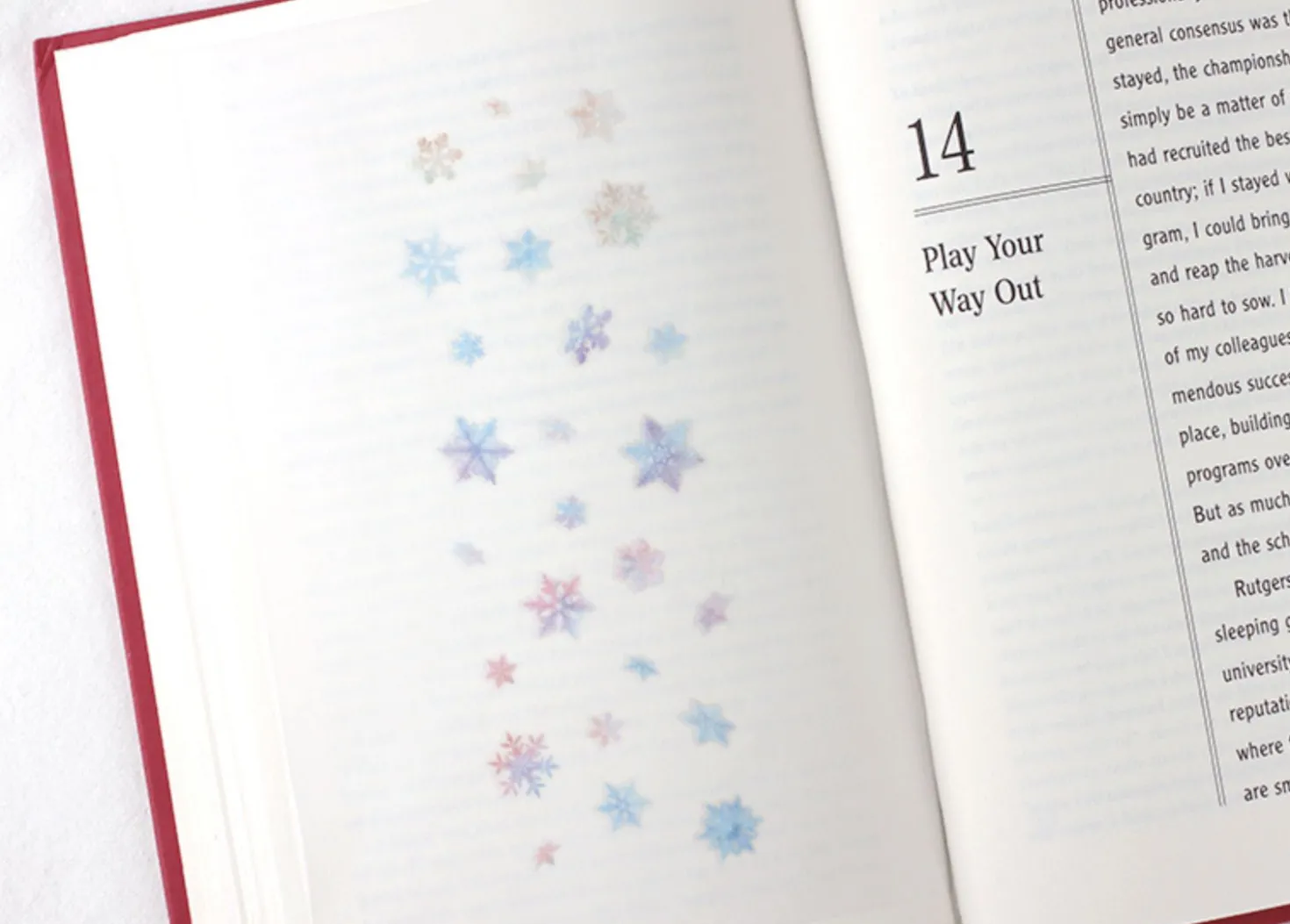 Snowflake Nature Sticker