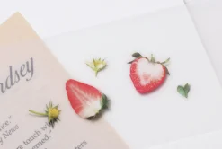 Strawberry Pressed Fruit Sticker