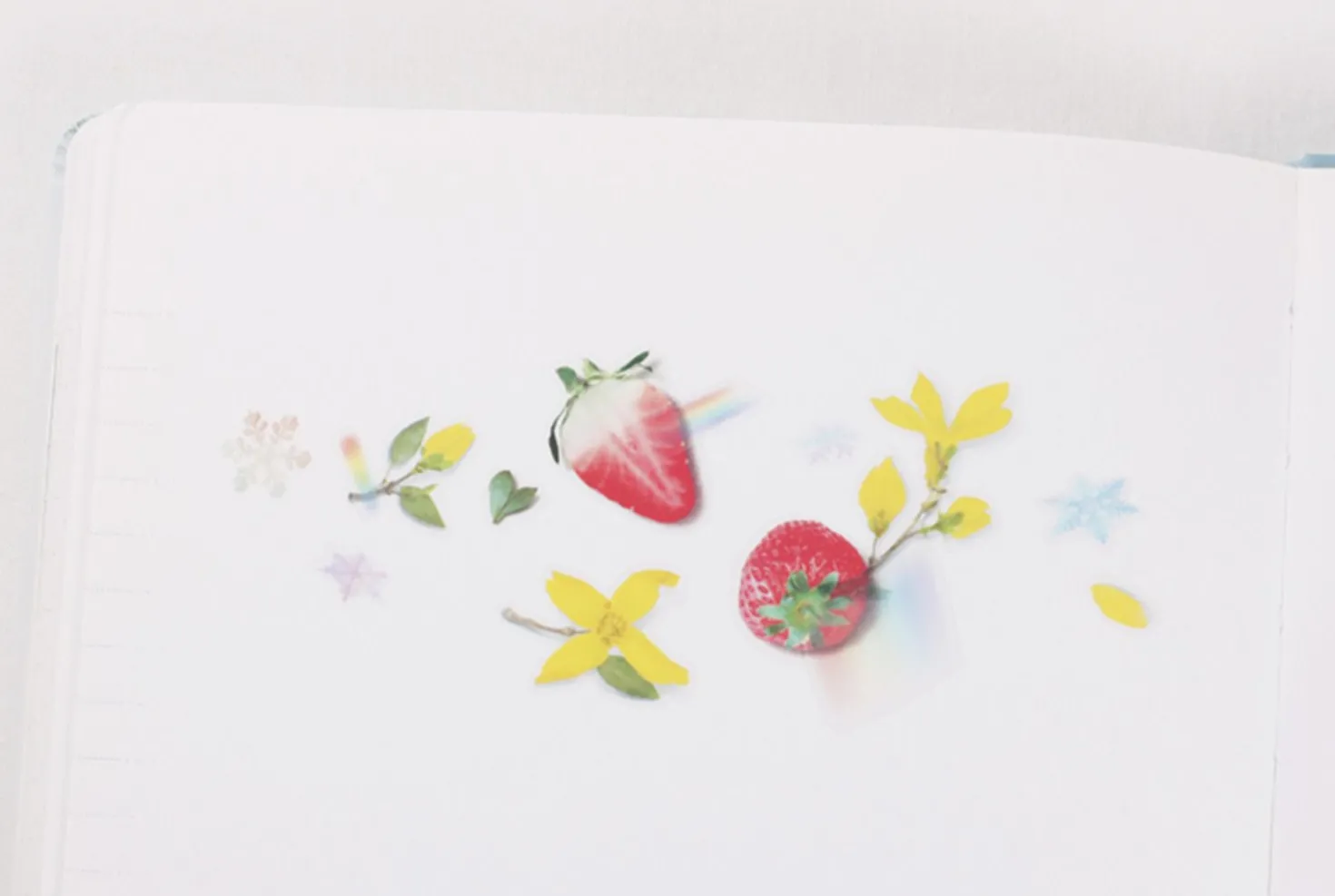Strawberry Pressed Fruit Sticker