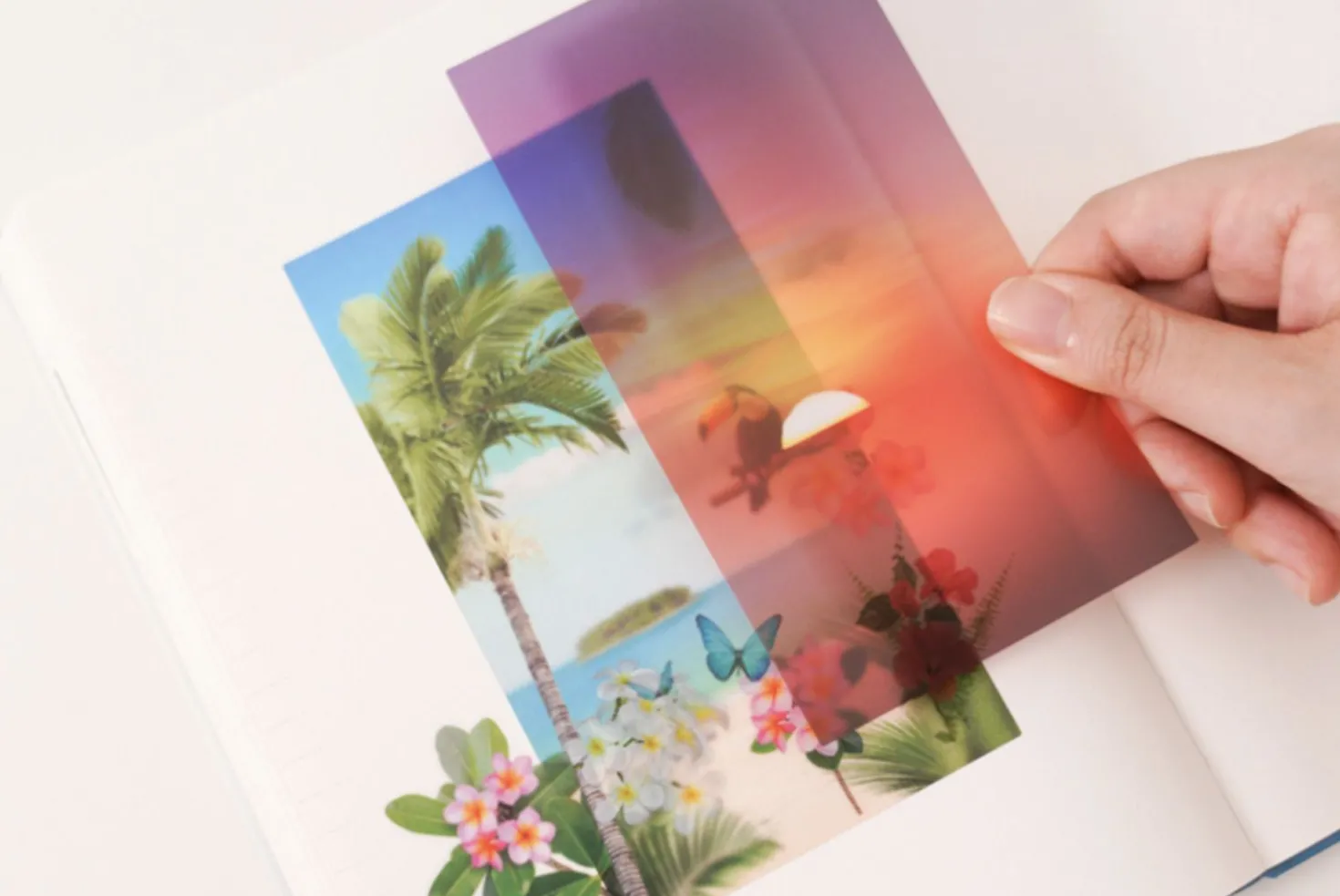 Tropical Sunset Layered Sticker Set
