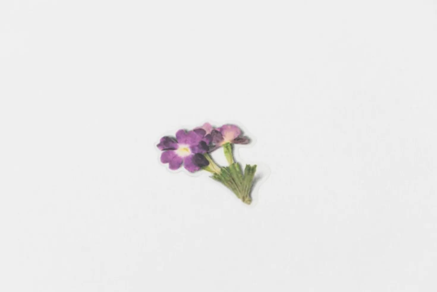 Verbena Pressed Flower Sticker