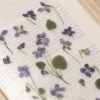 Violet Pressed Flower Sticker