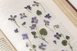 Violet Pressed Flower Sticker