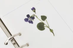 Violet Pressed Flower Sticker