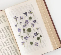 Violet Pressed Flower Sticker