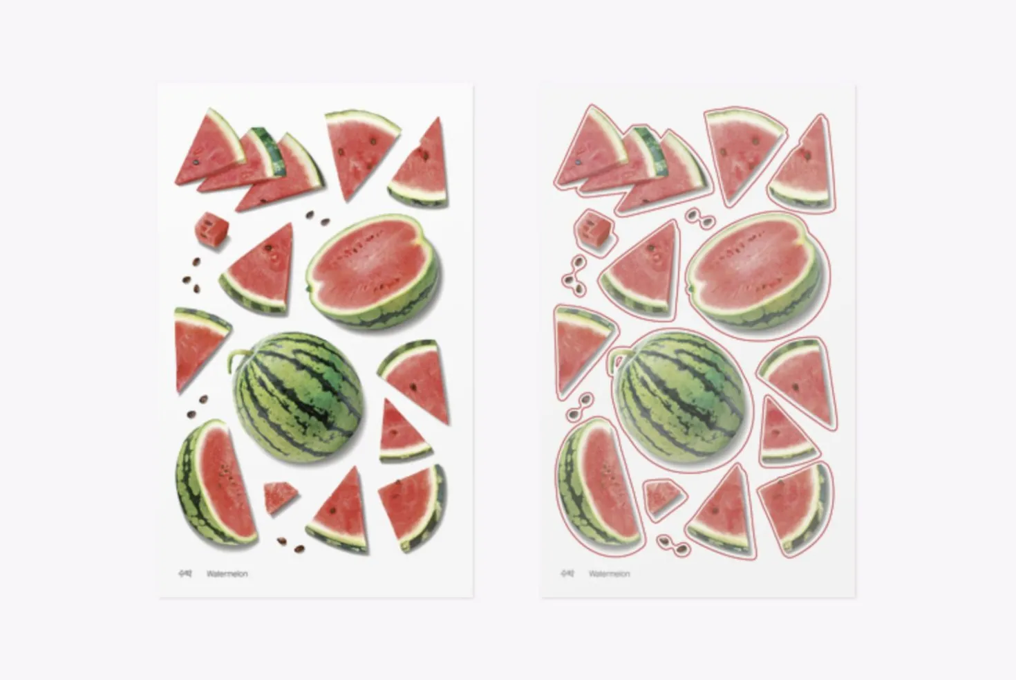Watermelon Pressed Fruit Sticker